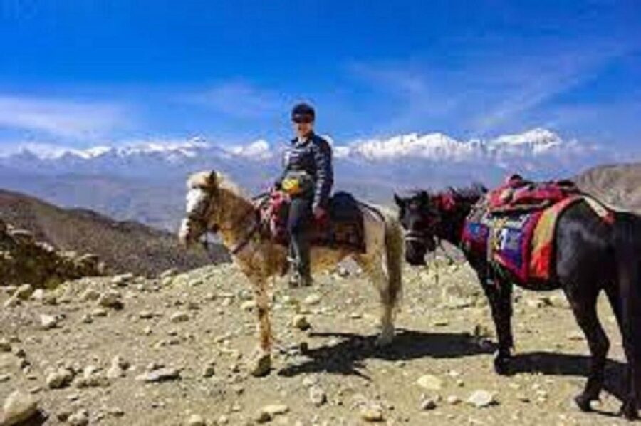 Pokhara: 1-Hour Horseback Ride with Hotel Pickup - Starting at Pokhara Lakeside