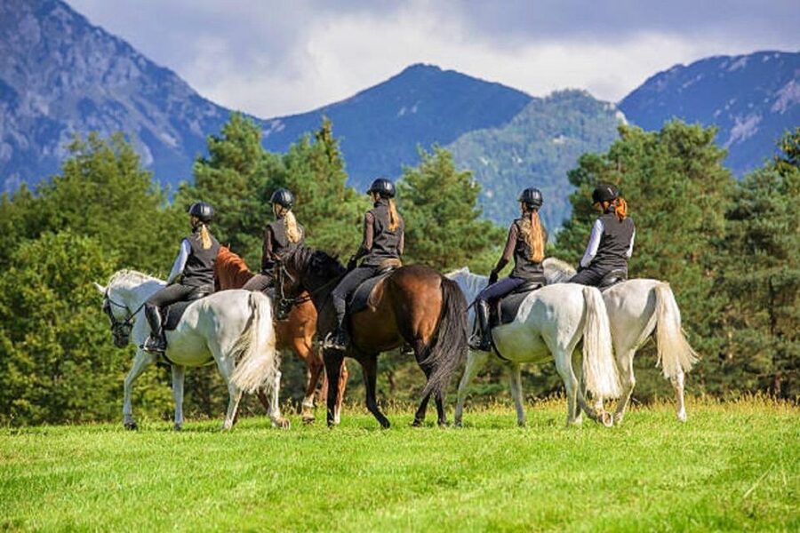 Pokhara: 1-Hour Horseback Ride with Hotel Pickup - Who should book this Pokhara ride?