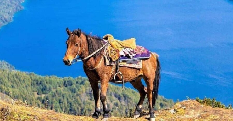 Pokhara: 1-Hour Horseback Ride with Hotel Pickup - Meeting the horse and getting ready