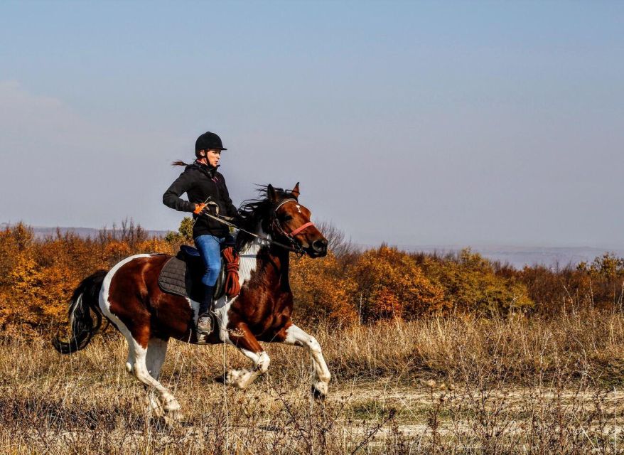 Pokhara: Horseback Adventure - Key points to know before you ride