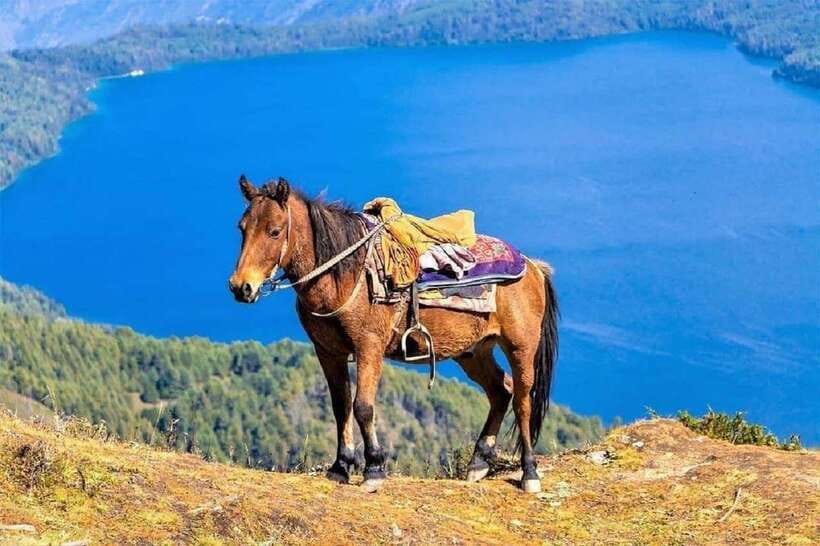 Pokhara: Horseback Riding Adventure with Hotel Pickup - Safety briefing and choosing the right horse