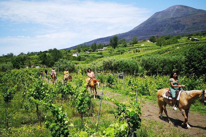 Pompeii Guided Tour & Horse Riding on Vesuvius with Lunch - Pompeii in two hours with an expert guide