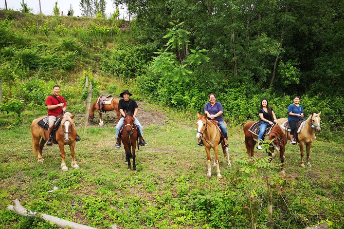 Pompeii Guided Tour & Horse Riding on Vesuvius with Lunch - Is the $240.65 price good value?