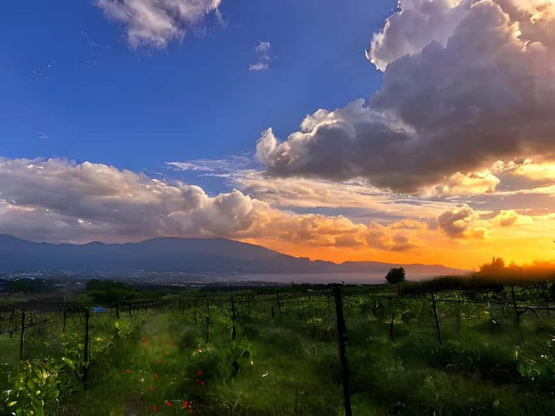 Pompeii: Mount Vesuvius Night Horseback Ride and Italian BBQ - A different way to see Mount Vesuvius after dark