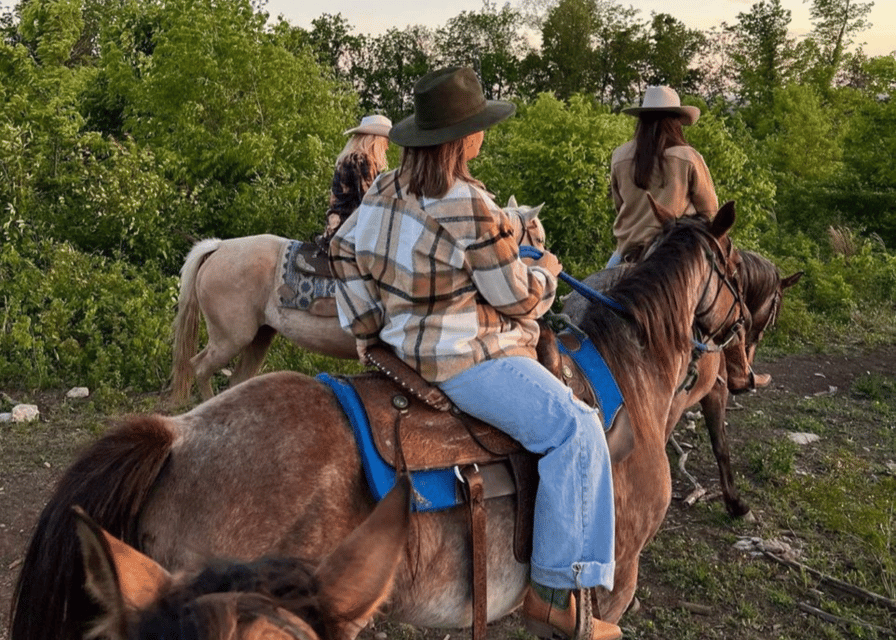 Pompeii: Mount Vesuvius Night Horseback Ride and Italian BBQ - Group size, guide support, and comfort