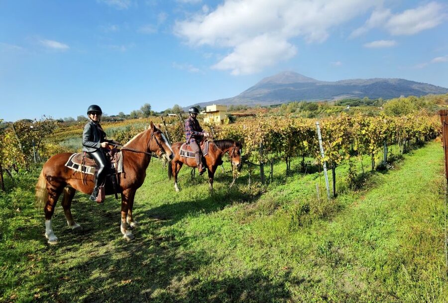 Pompeii: Ruins Tour and Mount Vesuvius Horseback Ride - The short transfer to Mount Vesuvius