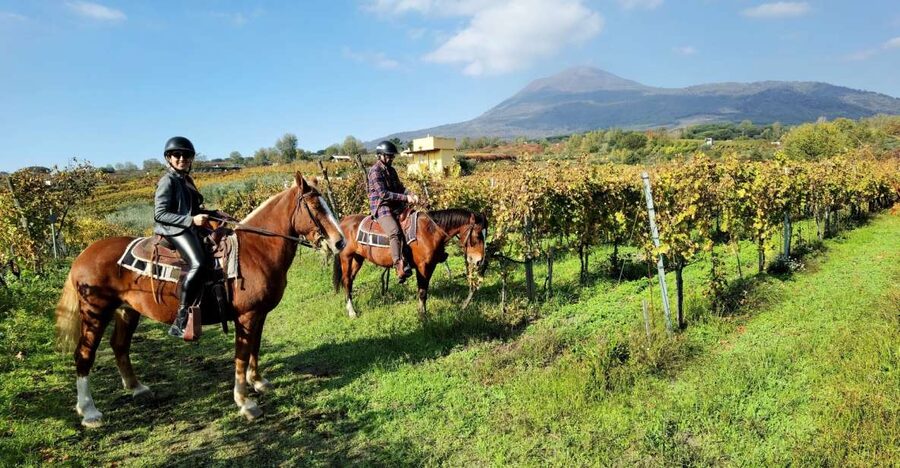 Pompeii: Ruins Tour and Mount Vesuvius Horseback Ride - Pompeii in two hours with an archaeology guide