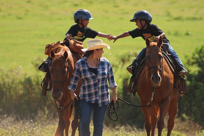 Pony Rides For Kids - A first pony ride built for small children
