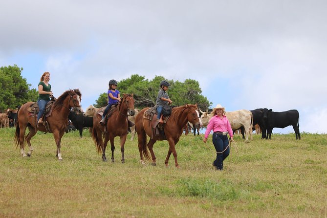 Pony Rides For Kids - What happens at Gunstock Ranch
