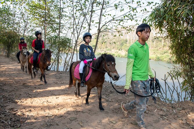 Pony Riding in Luang Prabang - The strict size rules are important