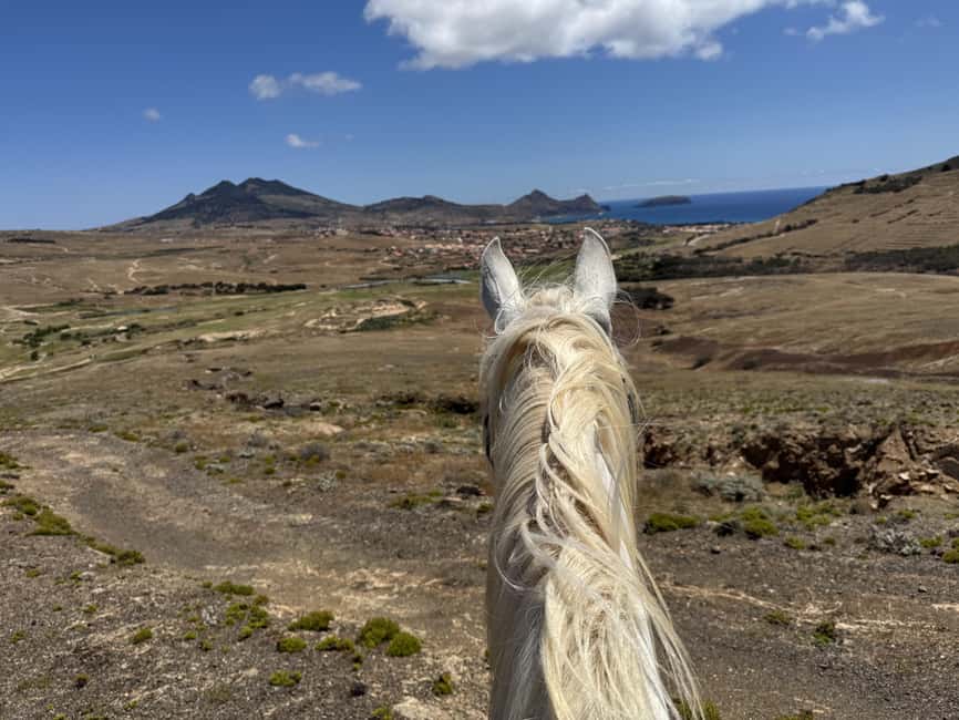 Porto Santo Island: Horse Riding - The one-hour ride across the island