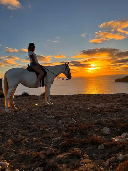 Porto Santo Island: Horse Riding - How the horses and guides affect the experience