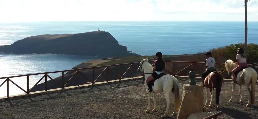 Porto Santo Island: Horse Riding - Is $55 a fair price?