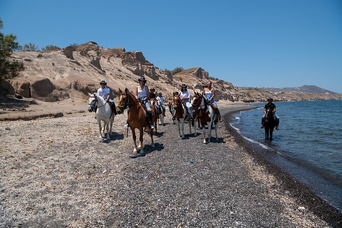 Premium Secluded Black Beach Horseback Riding Tour in Santorini - Vineyards shaped like baskets