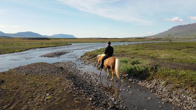 Private 3-Hour Horseback Riding Tour - Key points to know before you ride