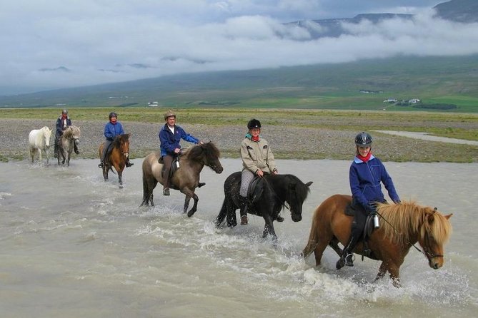Private 3-Hour Horseback Riding Tour - A real Icelandic ride, not a slow circle around a paddock