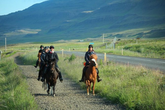 Private 3-Hour Horseback Riding Tour - Meeting the horses and guides