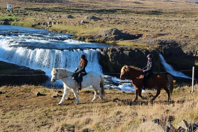 Private 3-Hour Horseback Riding Tour - Is $230.45 a fair price?