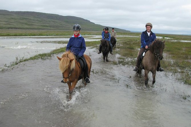 Private 3-Hour Horseback Riding Tour - Who should book this ride?