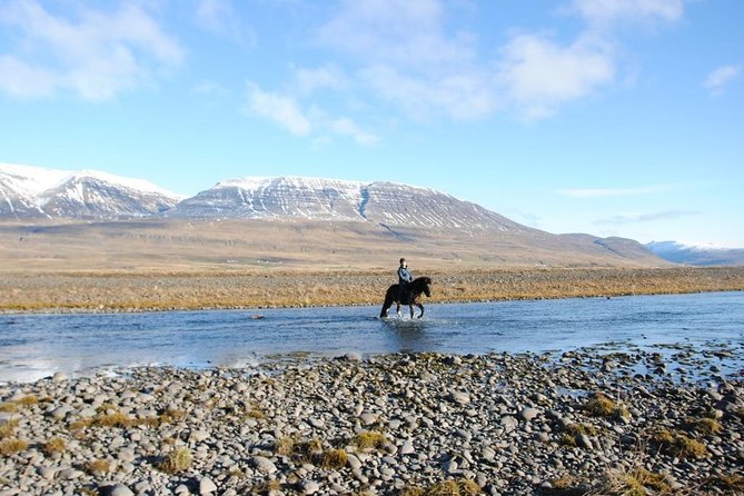 Private 3-Hour Horseback Riding Tour - Why the private format matters