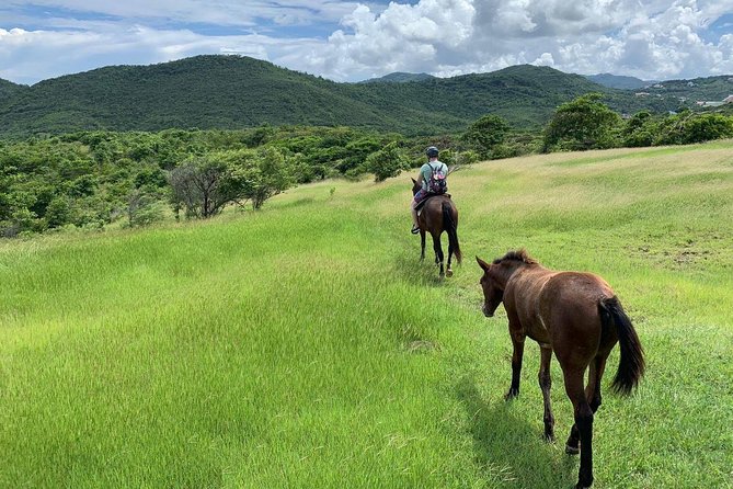Private Advanced Horseback Beach Ride with Sandy Hoofs St. Lucia - A real ride for confident horse people