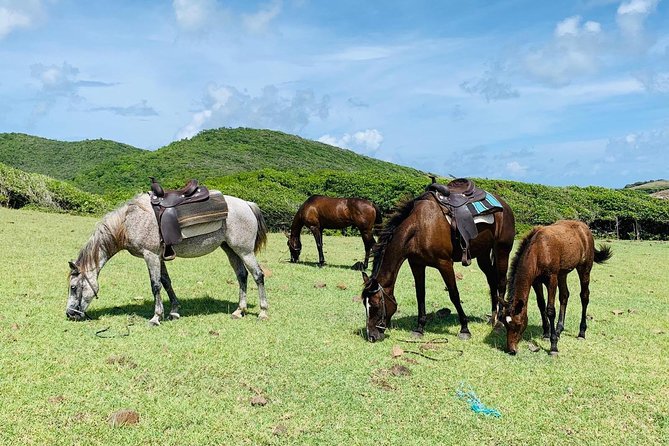 Private Advanced Horseback Beach Ride with Sandy Hoofs St. Lucia - Cantering and galloping on the sand