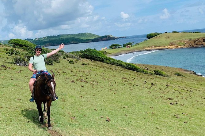 Private Advanced Horseback Beach Ride with Sandy Hoofs St. Lucia - The possible horse swim