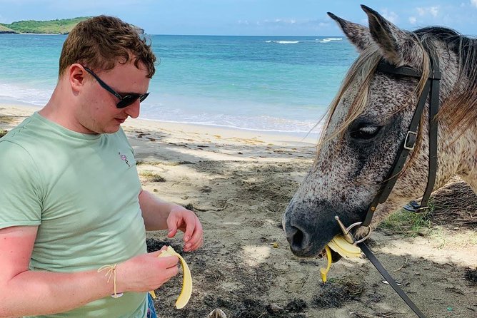 Private Advanced Horseback Beach Ride with Sandy Hoofs St. Lucia - Why the private format is valuable