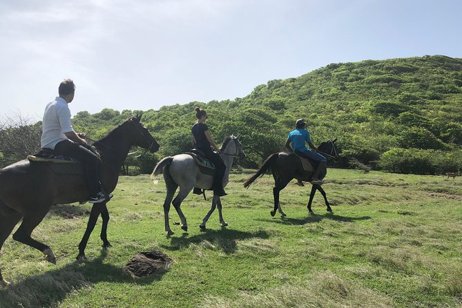 Private Advanced Horseback Beach Ride with Sandy Hoofs St. Lucia - Four beaches, coves, and room for photographs