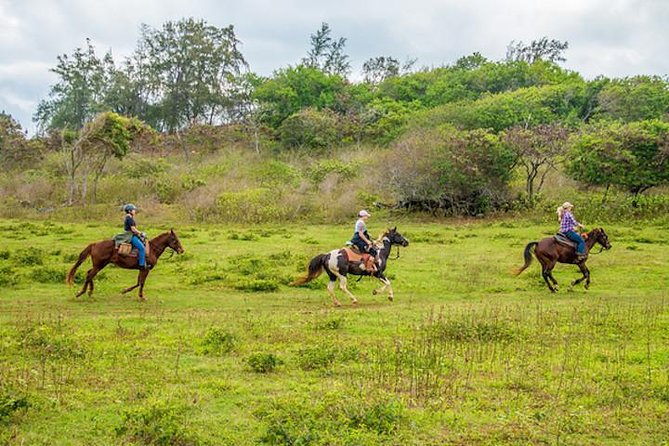 Private Advanced Trail Ride - A Private Ride Across 600 Acres