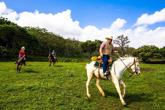Private Advanced Trail Ride - The 8:30 a.m. Start at North Shore Gunstock Ranch