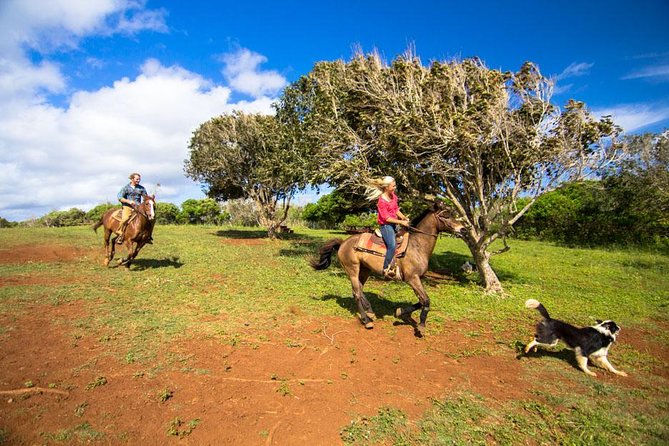 Private Advanced Trail Ride - Guides, Helmets, and the Safety Net