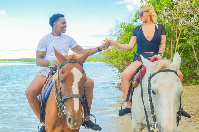 Private ATV, Horse Back Ride & Blue Hole Experience in Ocho Rios - Starting at Island Village in Ocho Rios