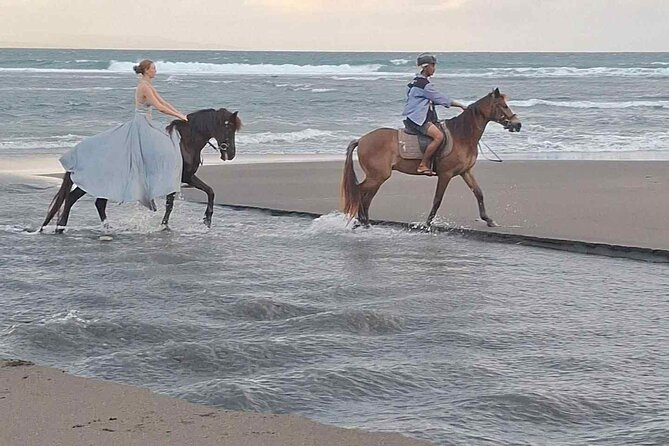 Private Bali Horse riding at saba beach - The horses are the central concern