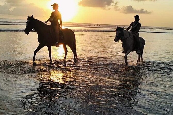 Private Bali Horse riding at saba beach - Price and what the $43.79 buys you