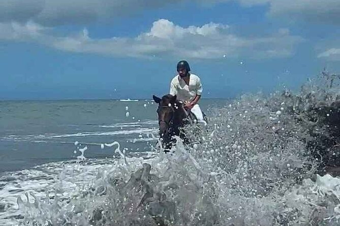 Private Bali Horse riding at saba beach - Who will enjoy this most