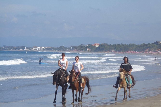 Private Bali Horse Riding In Seminyak Beach - Is $42.99 good value?