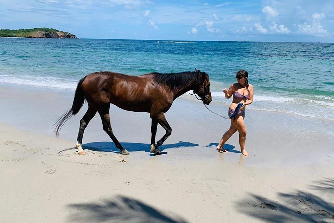 Private Beach Horseback Ride with Sandy Hoofs St. Lucia - Weather, fitness, and what to bring