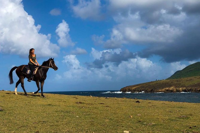 Private Beach Horseback Ride with Sandy Hoofs St. Lucia - Anse La Voute views and two quiet beaches