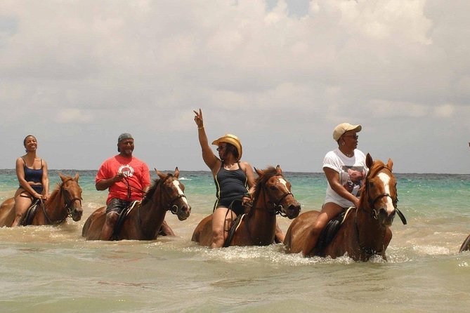 Private Beach Horseback Riding from Ocho Rios - The horse swim is the real highlight
