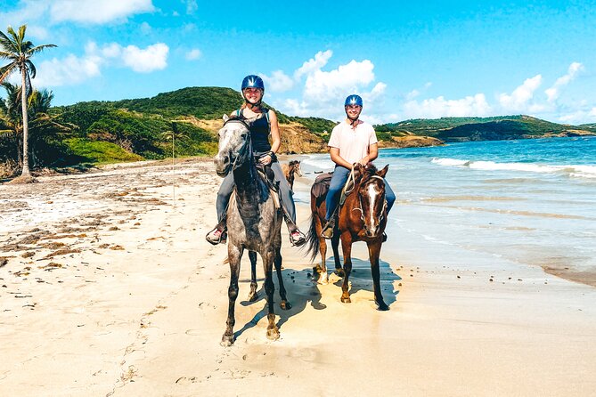 Private Beach Picnic Horseback Ride with Sandy Hoofs St. Lucia - Key points at a glance