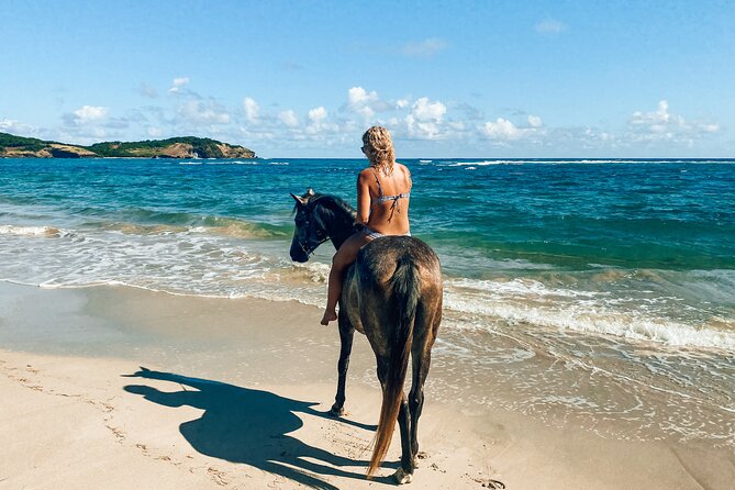 Private Beach Picnic Horseback Ride with Sandy Hoofs St. Lucia - Why the private format matters