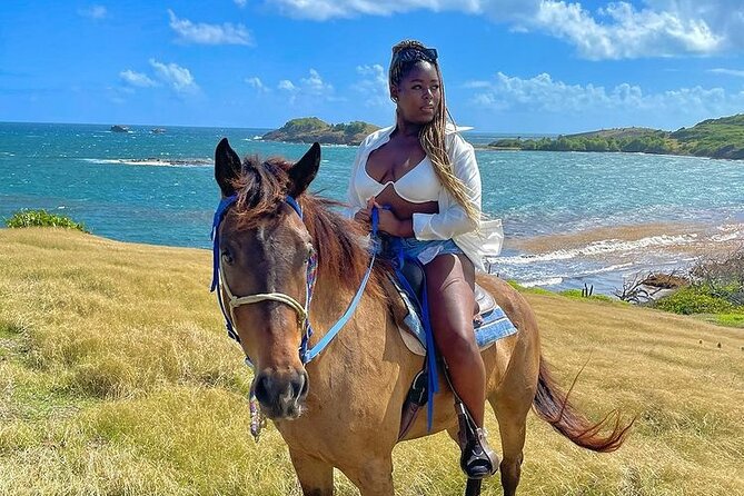 Private Beach Picnic Horseback Ride with Sandy Hoofs St. Lucia - Anse La Voute beach and the picnic