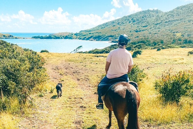 Private Beach Picnic Horseback Ride with Sandy Hoofs St. Lucia - Weather, access, and practical planning