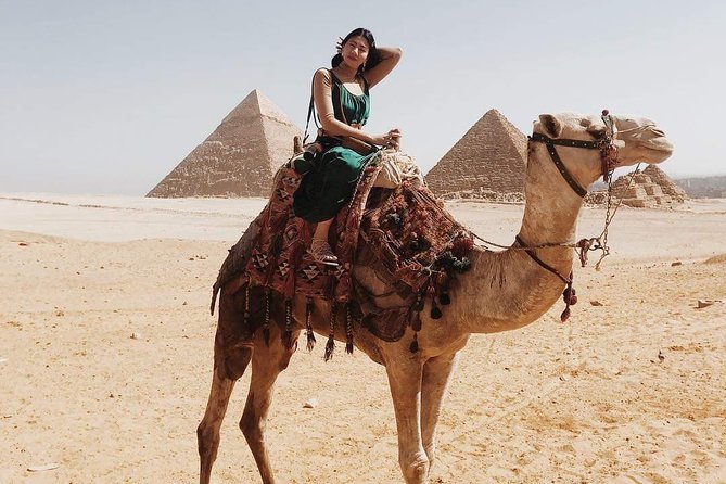 Private Camel or Horse Ride around the Giza Pyramids - Camel or horse: making the right choice