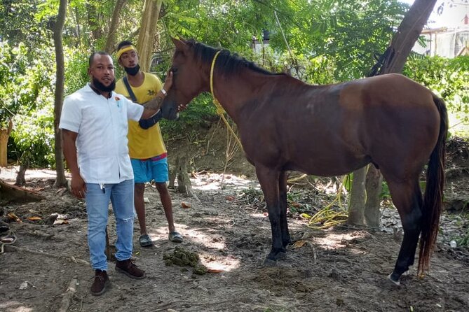 Private & Customize Tour to Martha Brae Rafting and Horseback Riding N Swim - Starting at the Martha Brae River
