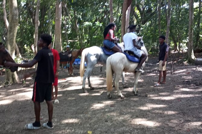 Private & Customize Tour to Martha Brae Rafting and Horseback Riding N Swim - The road to St. Ann’s Bay