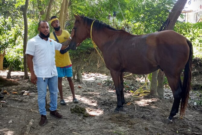 Private & Customize Tour to Martha Brae Rafting and Horseback Riding N Swim - Horseback riding for first-timers and regular riders