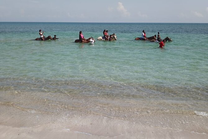 Private & Customize Tour to Martha Brae Rafting and Horseback Riding N Swim - Private touring makes the day more personal