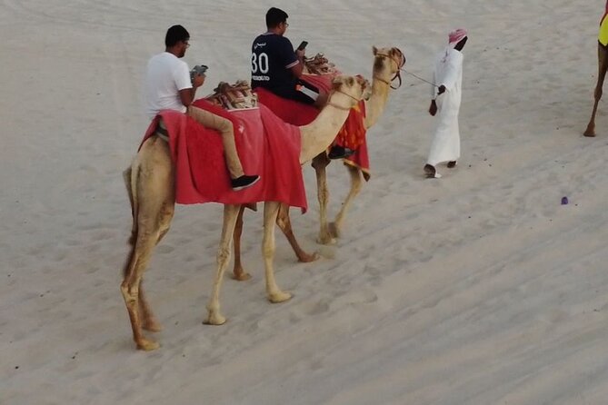 Private-Doha Horse Ride/Camel Ride/Quad Bike All Inclusive Tour - Key points at a glance